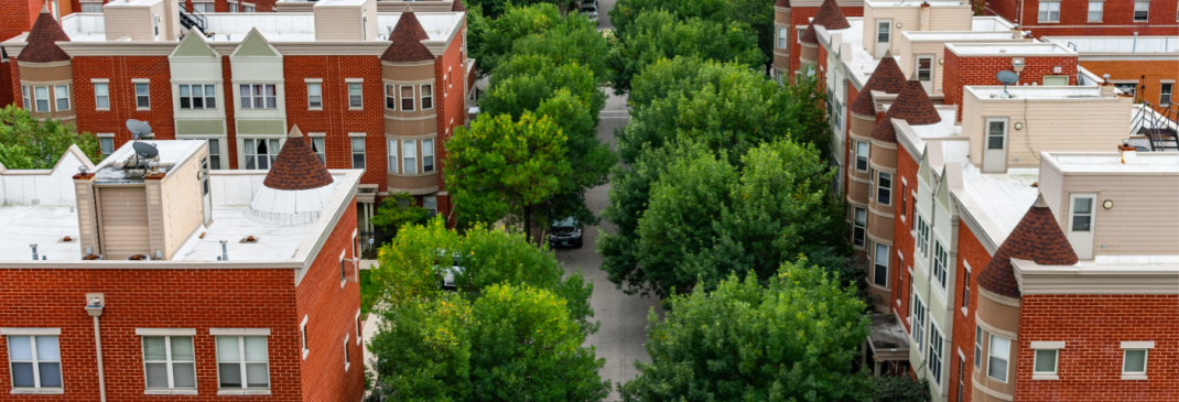 Driving in and around Chicago, Lincoln Park HLE